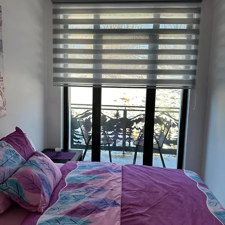 アパート Liman *