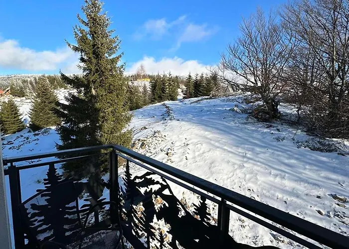 Apartament Liman Kopaonik